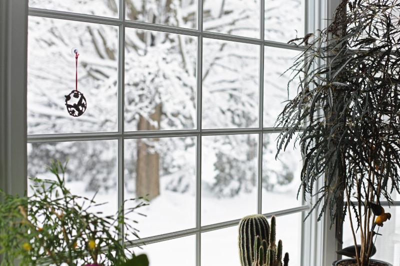 How Can I Lower My Heating Bill This Winter? A winter blizzard rages outside the back yard bay window where this small, serene potted plant garden grows and blooms oblivious to the season.