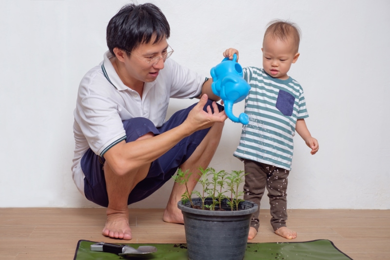 ather teaching his cute little asian 18 months / 1 year old toddler baby boy child about plants at home / apartment in the urban city, they watering plant from watering can.